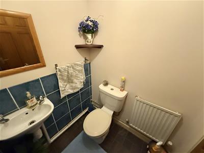 Picture 14